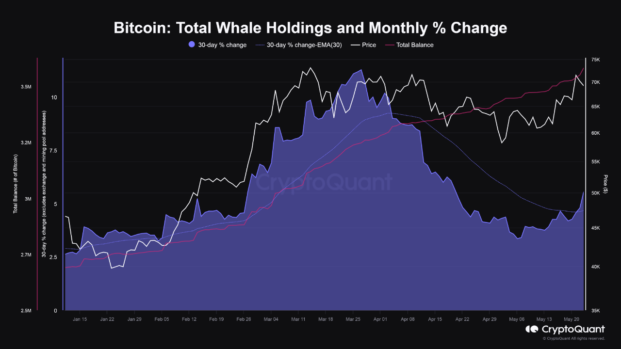 Tỷ lệ nắm giữ của cá voi BTC