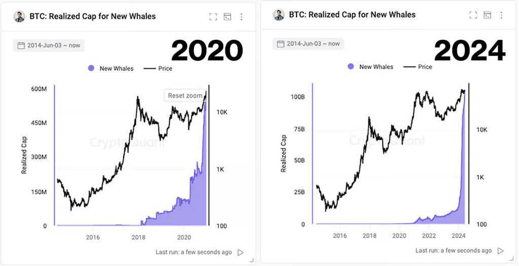 Hoạt động on-chain Bitcoin năm 2020 & 2024