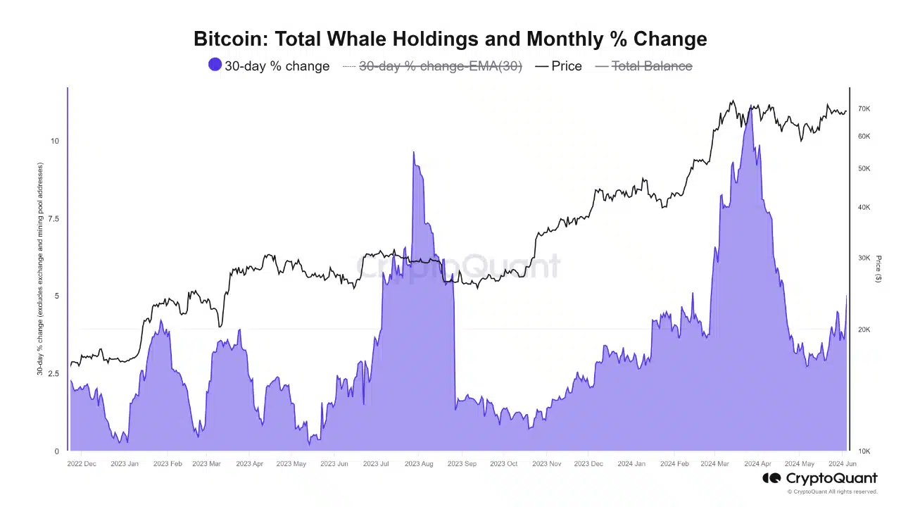 Lượng nắm giữ BTC của cá voi