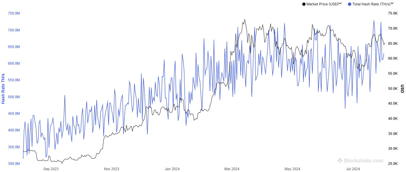 Bitcoin hashrate