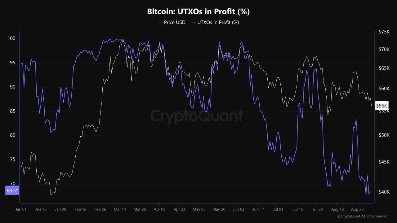 Bitcoin UTXO in Profit