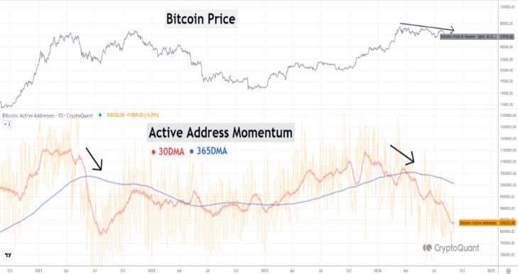 Bitcoin Active Address Momentum