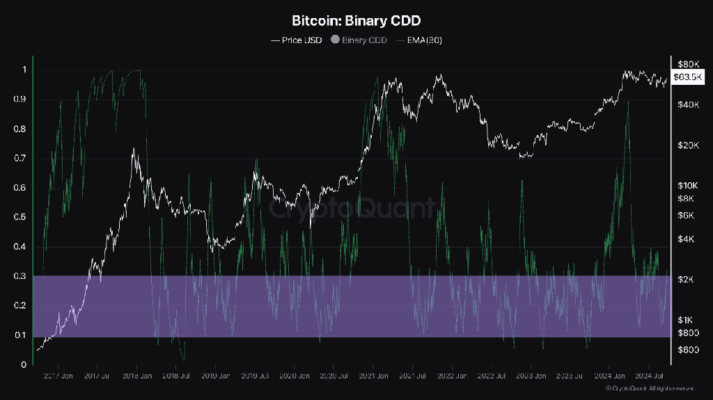 Binary Coin Days Destroyed (CDD)