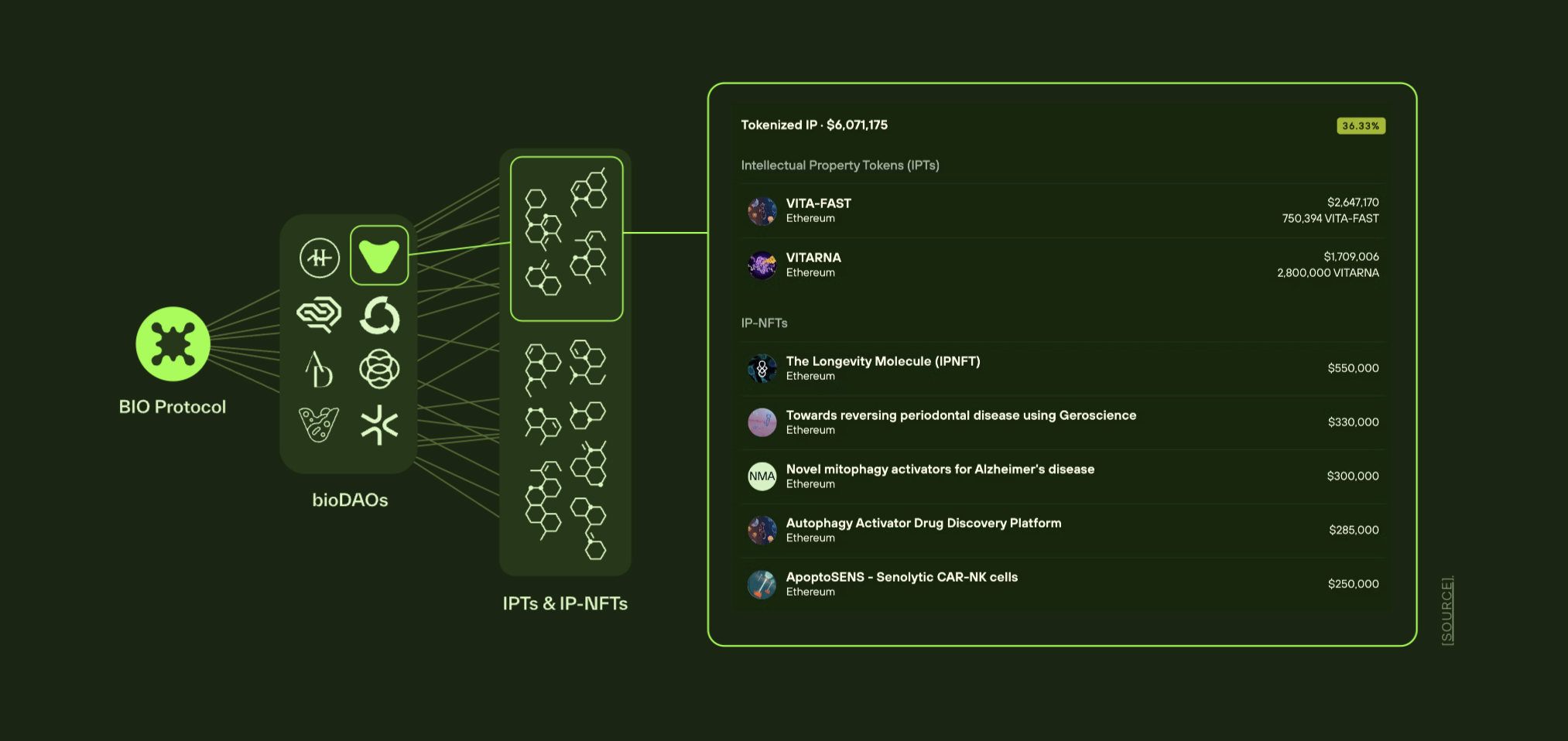 Cơ sở hạ tầng dự án Bio Protocol